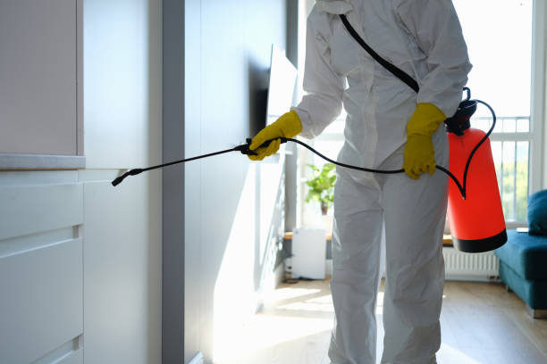 Best Commercial Mold Removal  in Edgemoor, DE